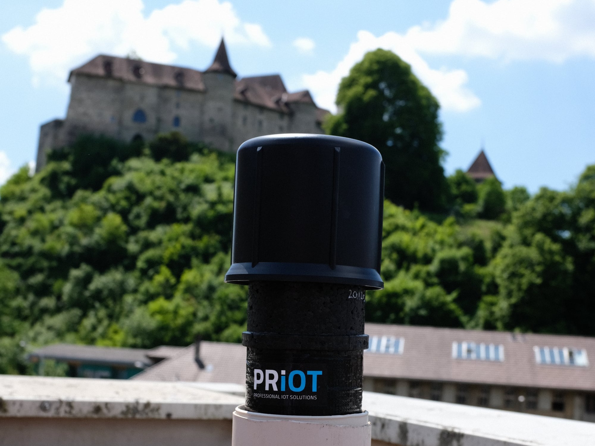 DaMo Installation mit Schloss Burgdorf im Hintergrund