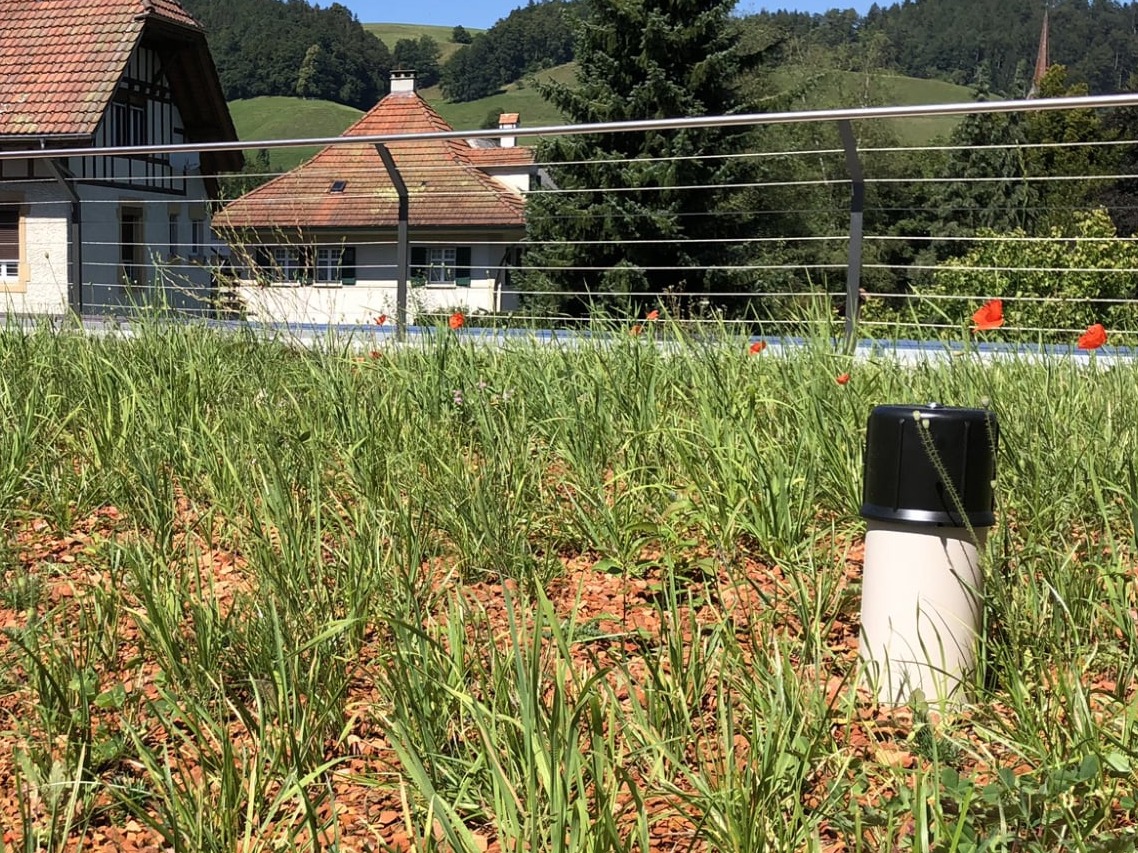 DaMo installiert auf begrüntem Dach